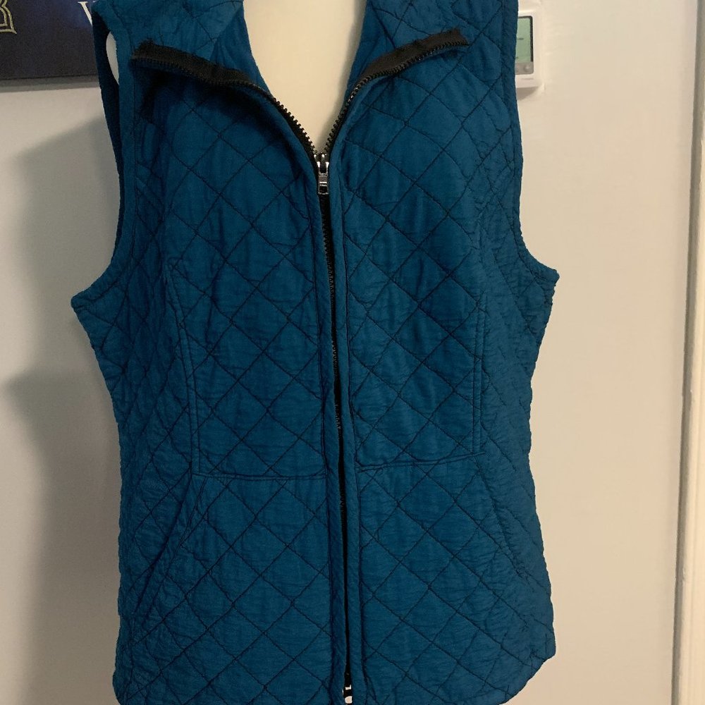 Blue Vest